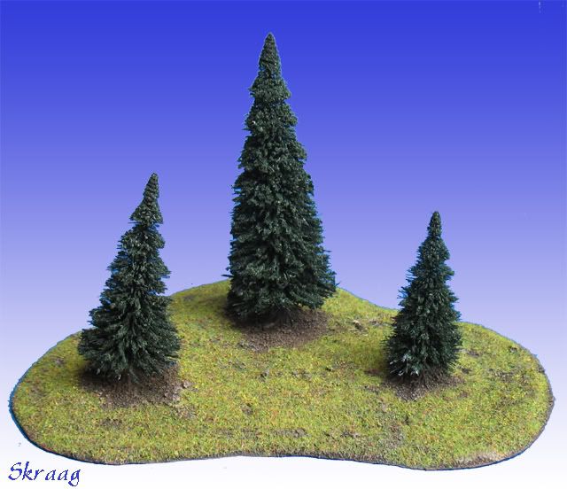 Wald01.jpg