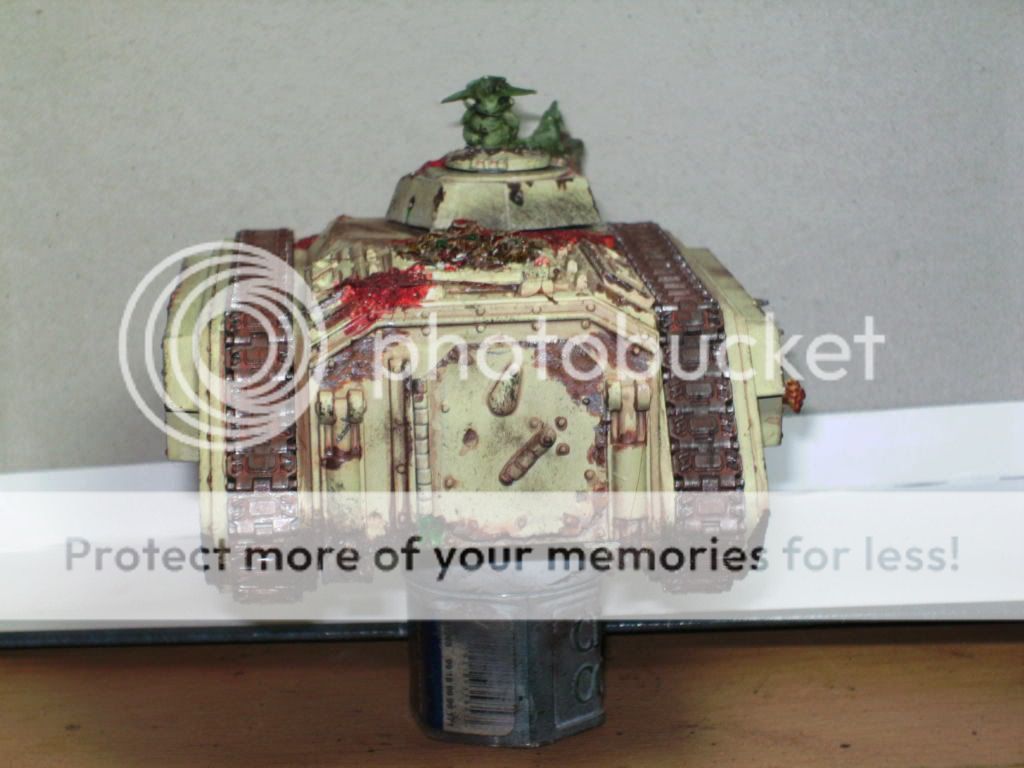 BILD1772.jpg