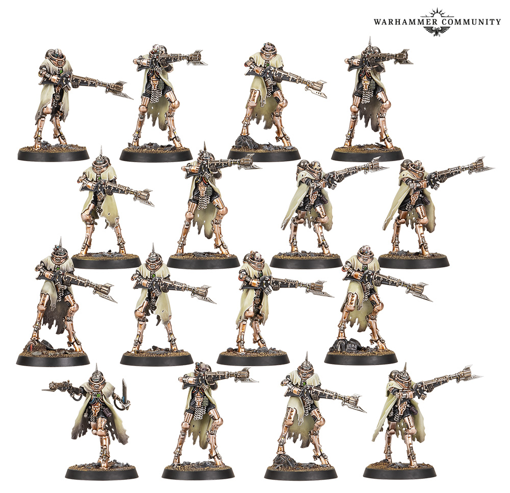sundaypreview-feb22-thh_04-pilgryms-lfzyzqyyug.jpg