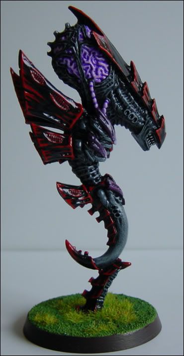 zoantroph.jpg