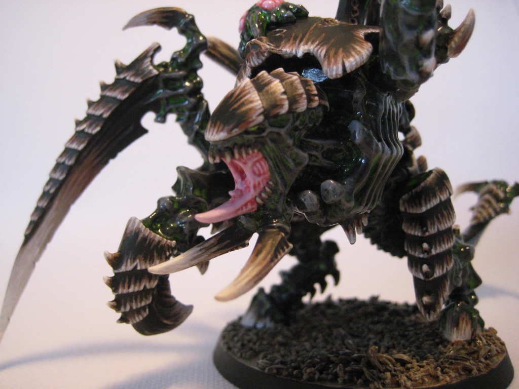 Tyraniden052.jpg