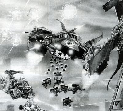 Copy_of_stormstormbird001td0.jpg