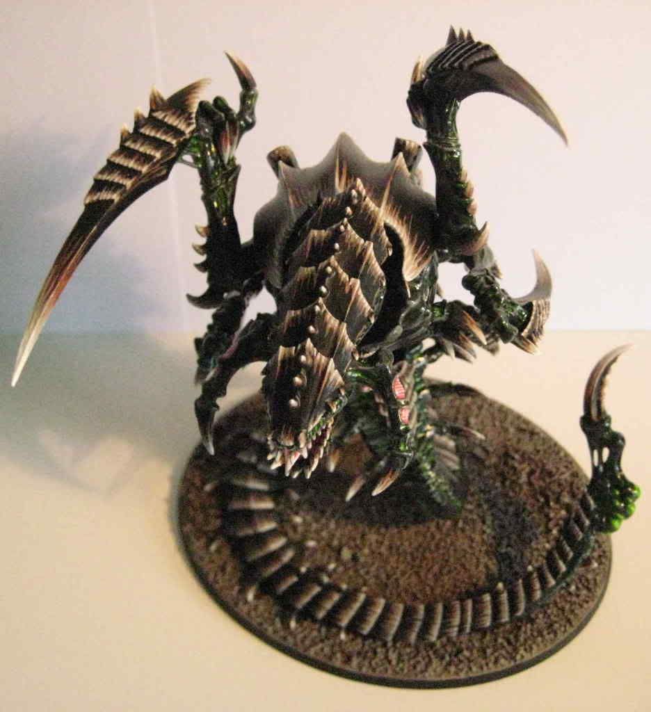 Trygon062.jpg