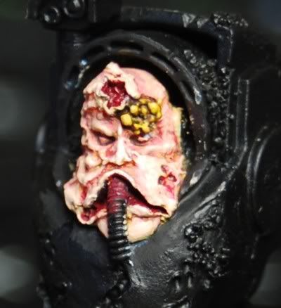 facetermi.jpg