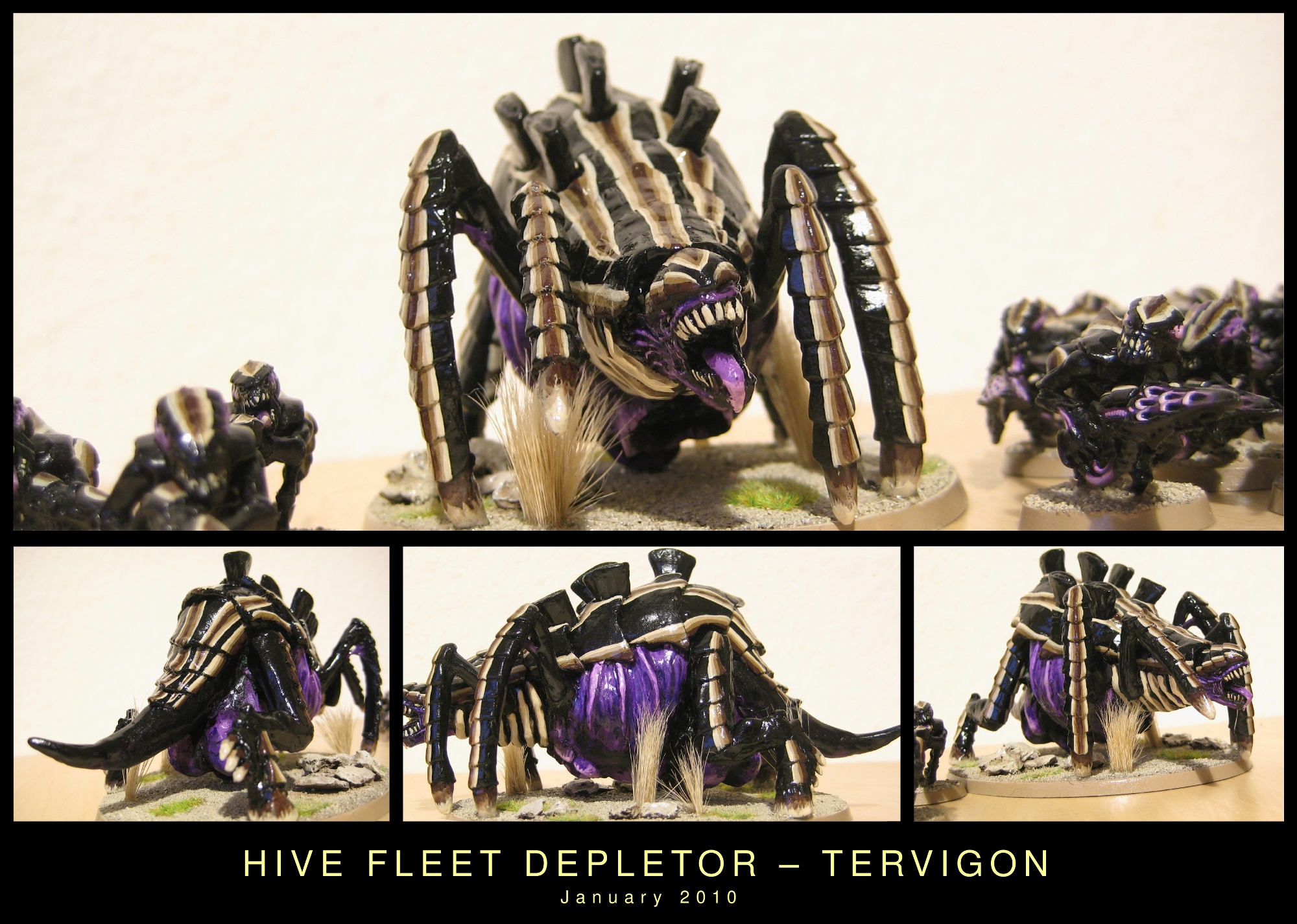tervigon-final.jpg