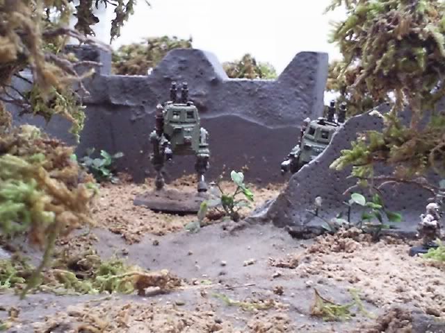 Foto0414.jpg