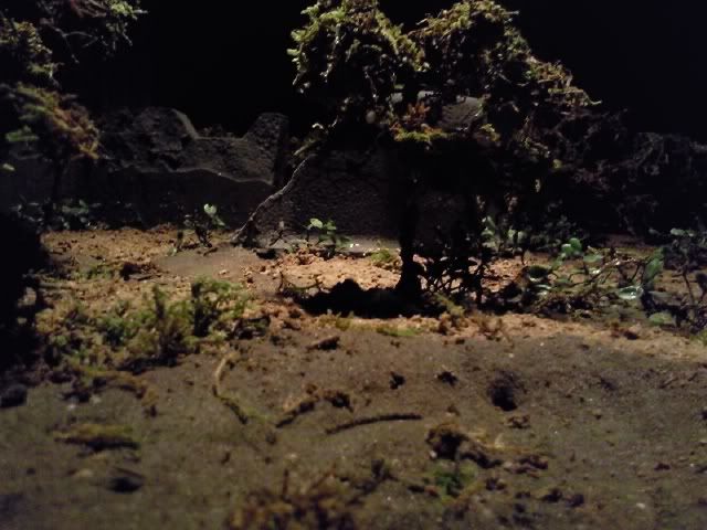 Foto0410.jpg