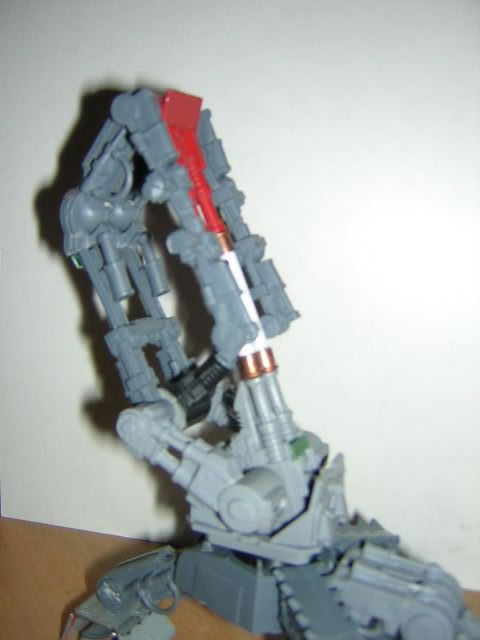 DSCN1113.jpg