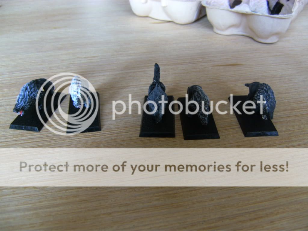BILD0648.jpg