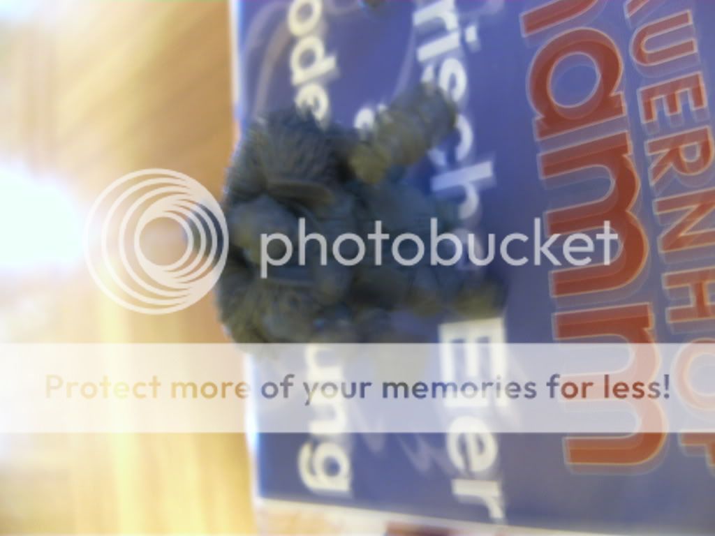BILD0758.jpg