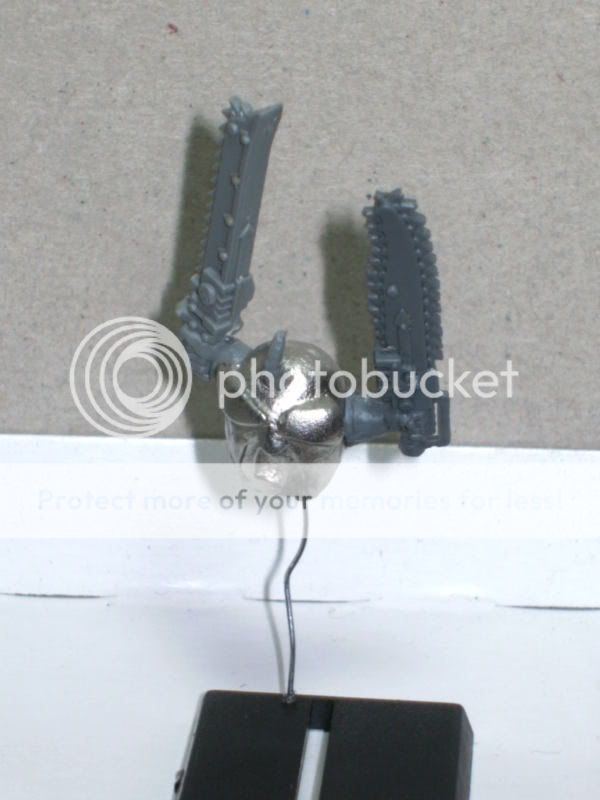 BILD1571.jpg