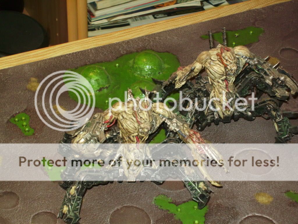 BILD1728.jpg