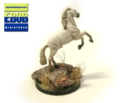 heroichorse1.jpg