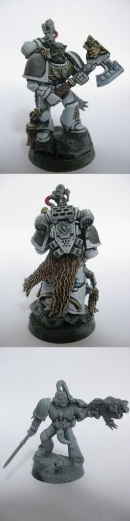 GuardWIPs.jpg
