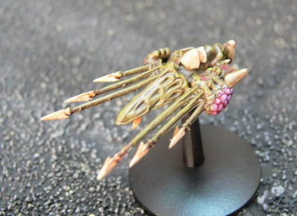V1.jpg