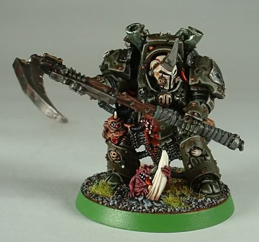 typhus.jpg