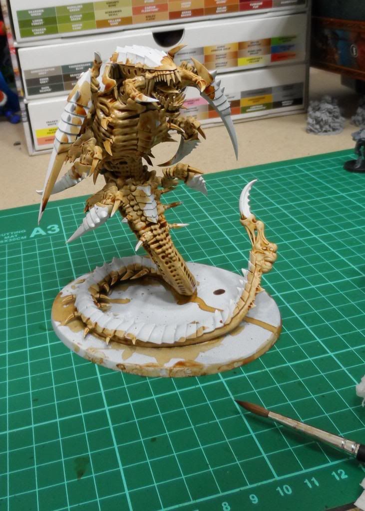 trygon_zps678cf5dc.jpg
