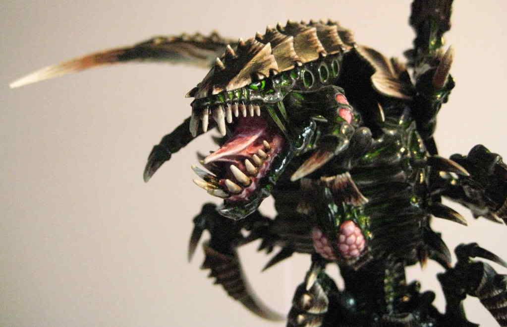 Trygon069.jpg
