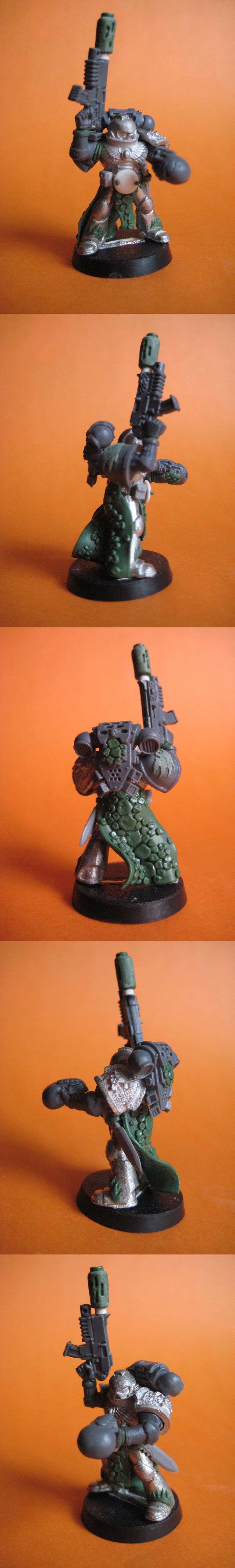 salamanderveteran.jpg