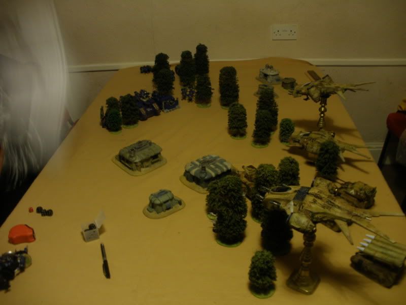 PB081001.jpg