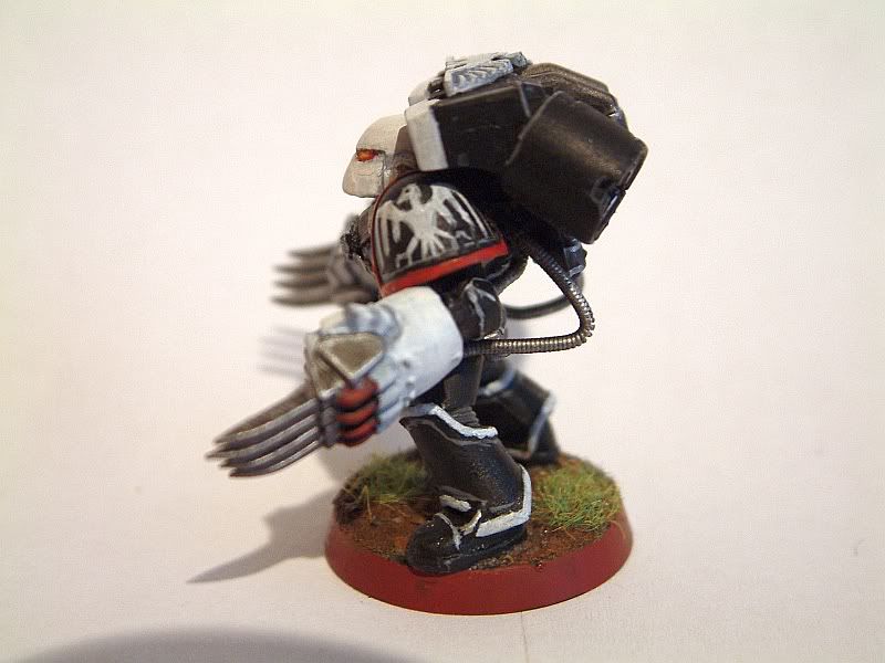 Shrike-Left.jpg
