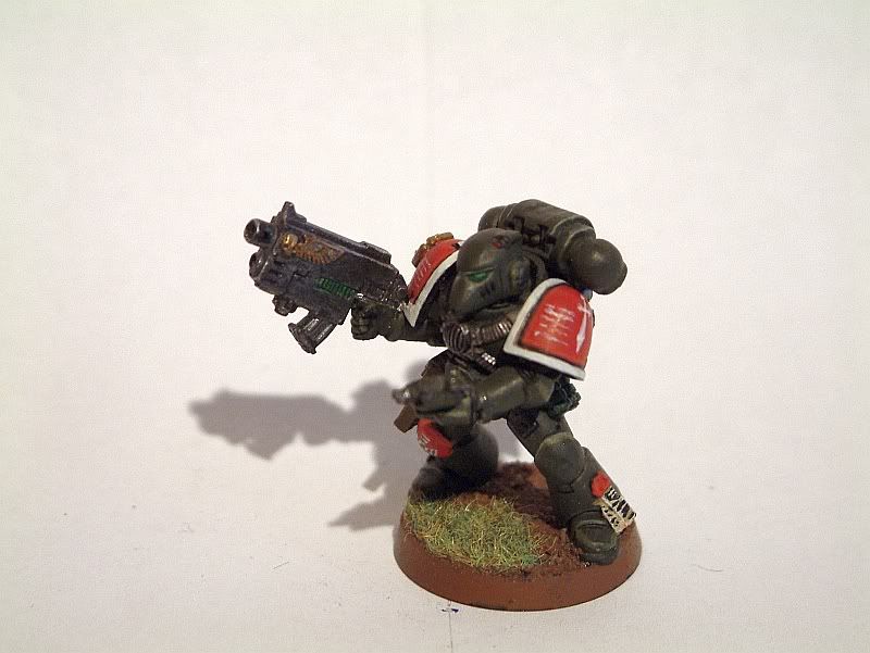 Sternguard-KBPls.jpg