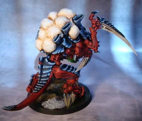 Tervigon1-3.jpg