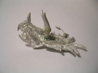 DSCN5546.jpg