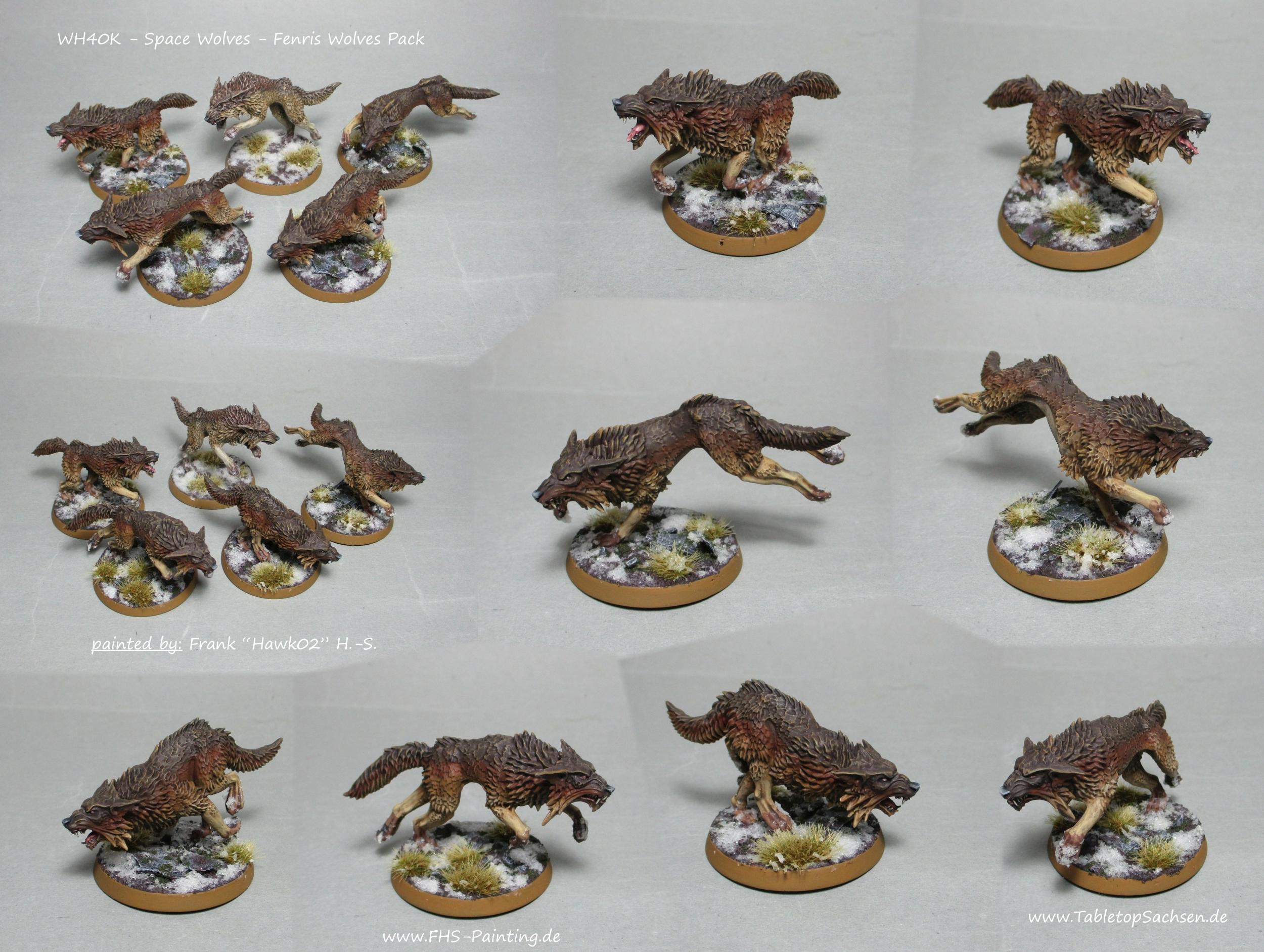 wh40k_space_wolves_fenrisan_wolves_pack.jpg.aa4525c4858e2c4b90cfe0666bb09783.jpg wh40k_space_wolves_fenrisan_wolves_pack.jpg.aa4525c4858e2c4b90cfe0666bb09783.jpg