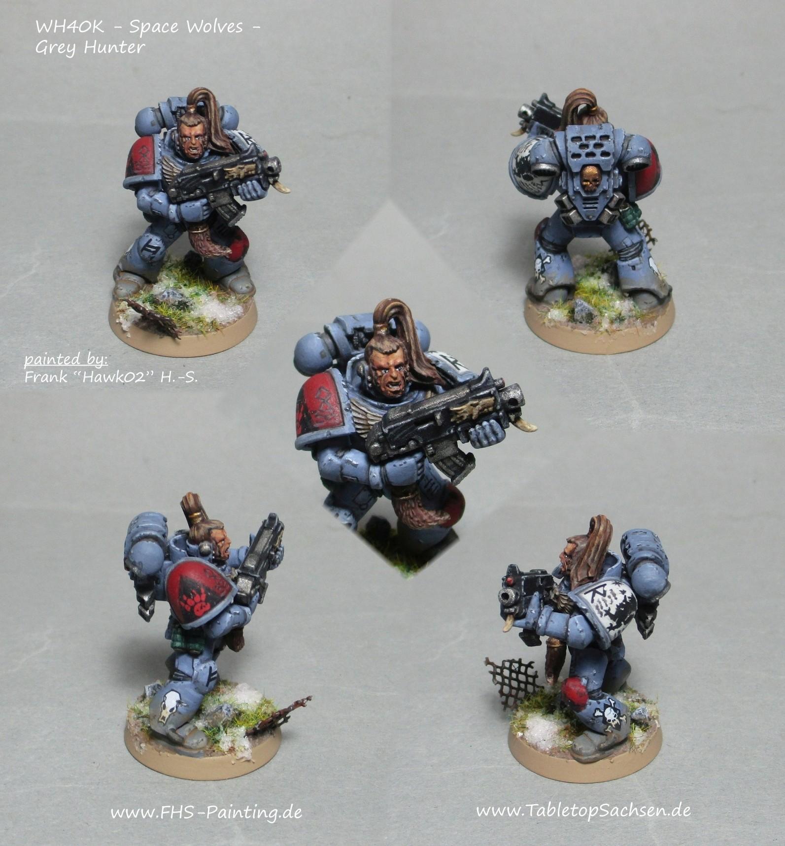 wh40k_space_wolves_grey_hunter.jpg.086cddda5c6aac73138d2d7aca56d1ec.jpg wh40k_space_wolves_grey_hunter.jpg.086cddda5c6aac73138d2d7aca56d1ec.jpg