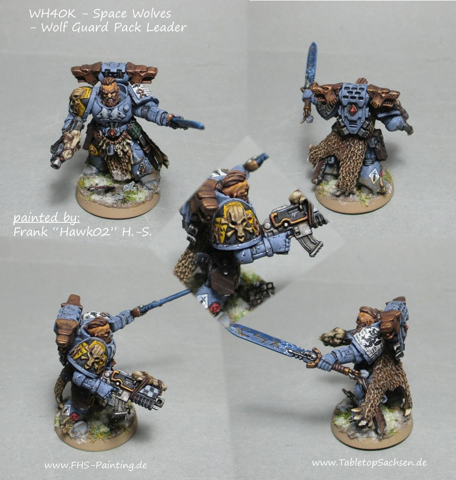 wh40k_space_wolves_wolf_guard_pack_leader_01.jpg.c10b5b2c517925803da4fa453705a8d4.jpg wh40k_space_wolves_wolf_guard_pack_leader_01.jpg.c10b5b2c517925803da4fa453705a8d4.jpg