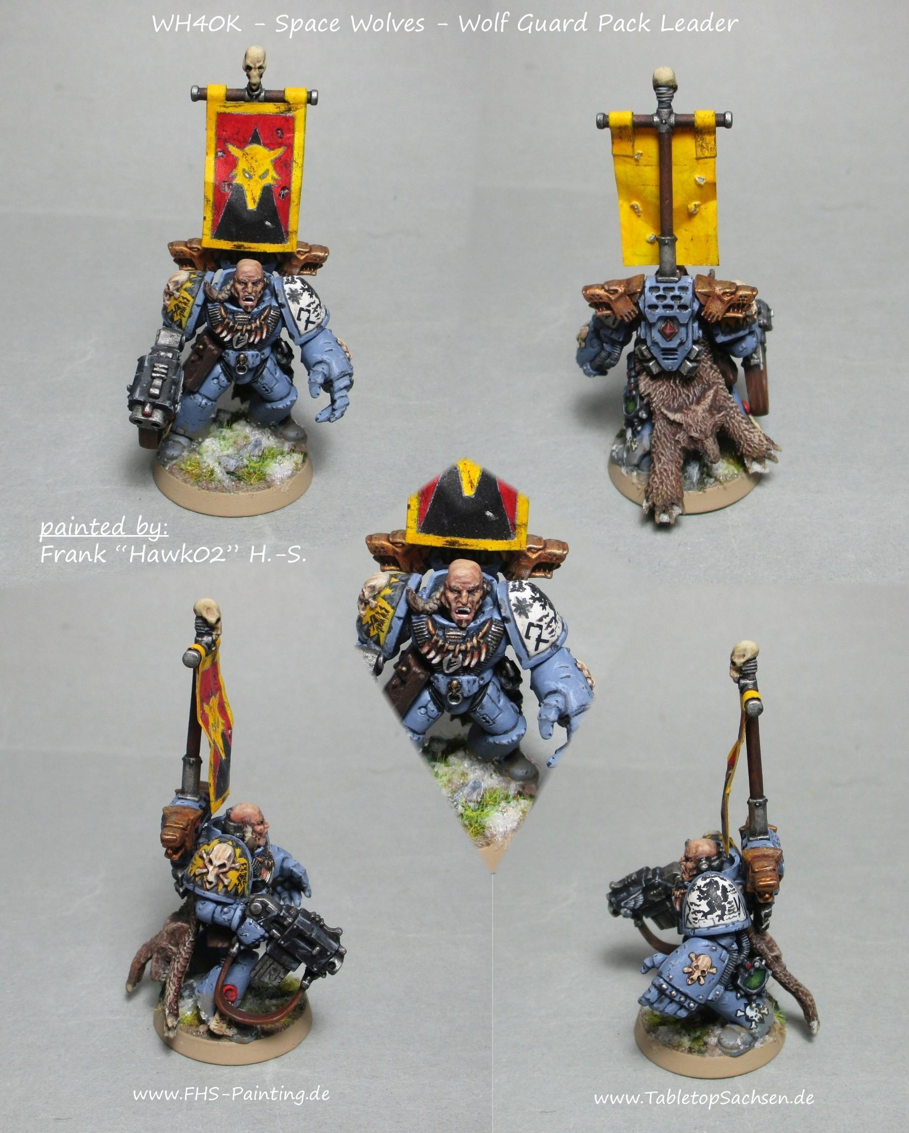 wh40k_space_wolves_wolf_guard_pack_leader_02.jpg.90f2533fc02d228fe72cd5f33a75d3aa.jpg wh40k_space_wolves_wolf_guard_pack_leader_02.jpg.90f2533fc02d228fe72cd5f33a75d3aa.jpg